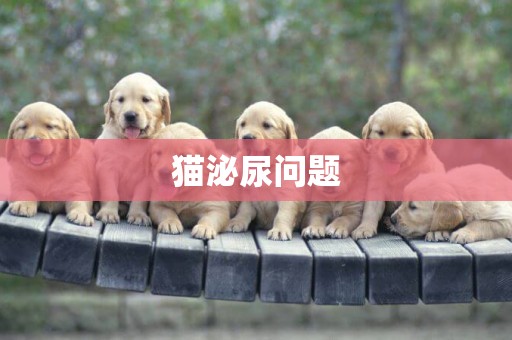 貓泌尿問題