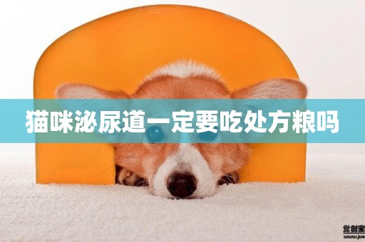 貓咪泌尿道一定要吃處方糧嗎