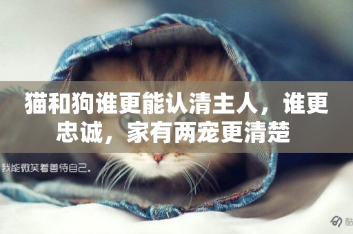貓和狗誰更能認清主人，誰更忠誠，家有兩寵更清楚 