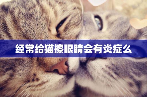 經常給貓擦眼睛會有炎癥么