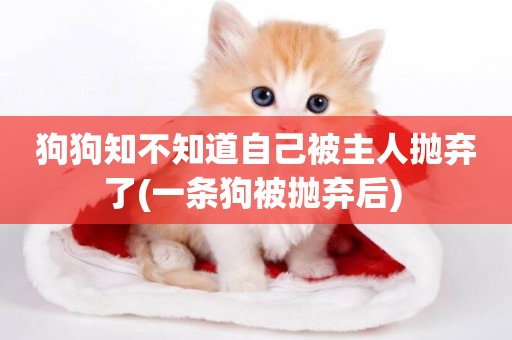 狗狗知不知道自己被主人拋棄了(一條狗被拋棄后) 