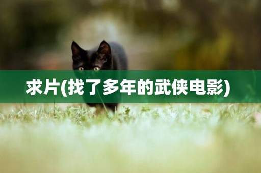 求片(找了多年的武俠電影) 