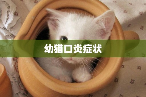 幼貓口炎癥狀