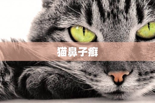 貓鼻子癬