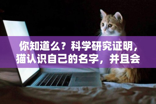 你知道么？科學研究證明，貓認識自己的名字，并且會做出這種反應 