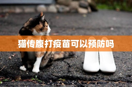貓傳腹打疫苗可以預防嗎