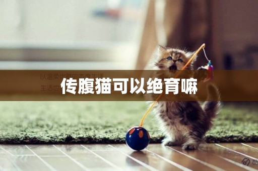 傳腹貓可以絕育嘛