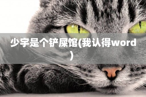少宇是個鏟屎館(我認得word) 