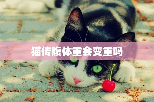 貓傳腹體重會變重嗎