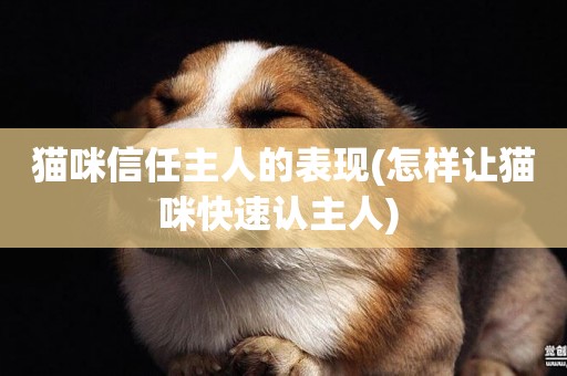 貓咪信任主人的表現(怎樣讓貓咪快速認主人) 