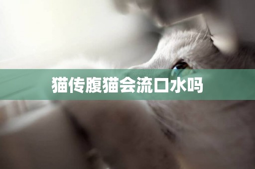 貓傳腹貓會流口水嗎