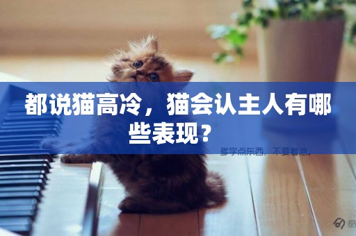都說貓高冷，貓會認主人有哪些表現？ 