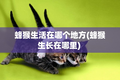 蜂猴生活在哪個地方(蜂猴生長在哪里) 
