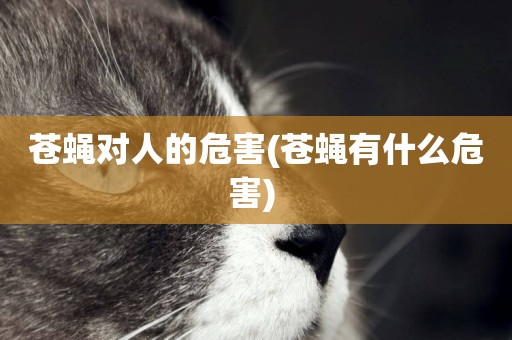 蒼蠅對人的危害(蒼蠅有什么危害) 