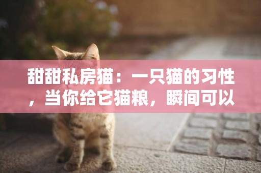 甜甜私房貓：一只貓的習性，當你給它貓糧，瞬間可以看出來 