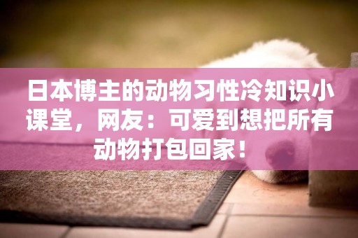 日本博主的動物習性冷知識小課堂，網友：可愛到想把所有動物打包回家！ 