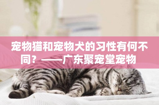 寵物貓和寵物犬的習性有何不同？——廣東聚寵堂寵物 