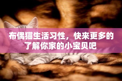 布偶貓生活習性，快來更多的了解你家的小寶貝吧 