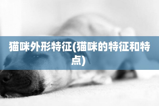 貓咪外形特征(貓咪的特征和特點) 