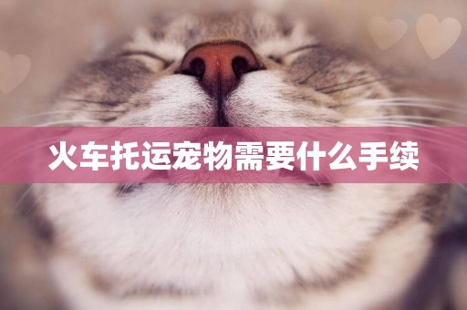 火車托運寵物需要什么手續