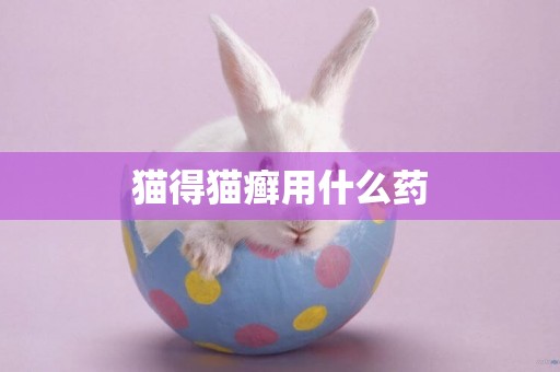 貓得貓癬用什么藥