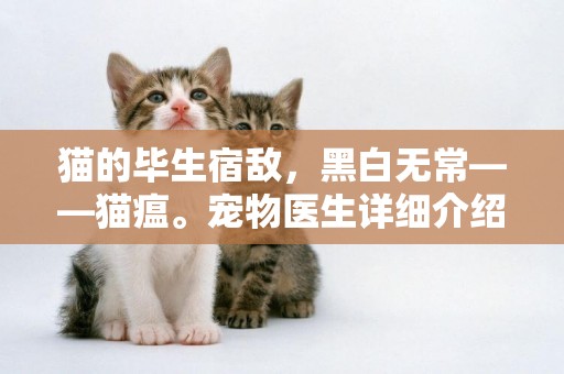 貓的畢生宿敵，黑白無常——貓瘟。寵物醫生詳細介紹 