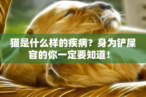 貓是什么樣的疾病？身為鏟屎官的你一定要知道！ 