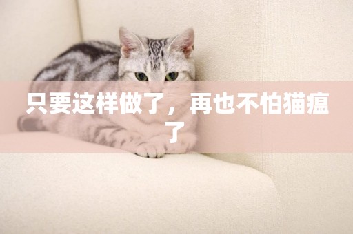 只要這樣做了，再也不怕貓瘟了 