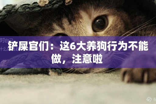 鏟屎官們：這6大養狗行為不能做，注意啦 