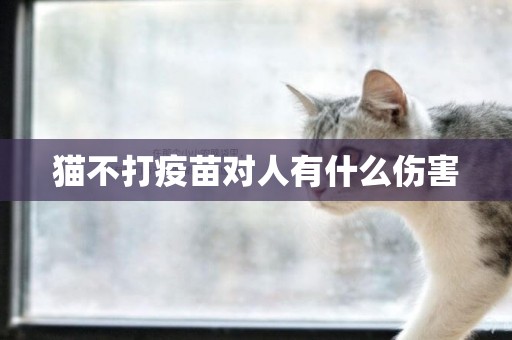 貓不打疫苗對人有什么傷害