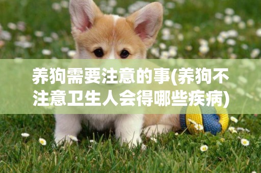 養狗需要注意的事(養狗不注意衛生人會得哪些疾病) 