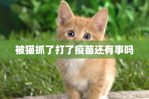 被貓抓了打了疫苗還有事嗎