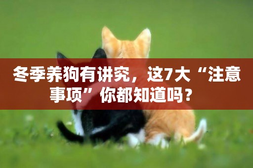 冬季養狗有講究，這7大“注意事項”你都知道嗎？ 