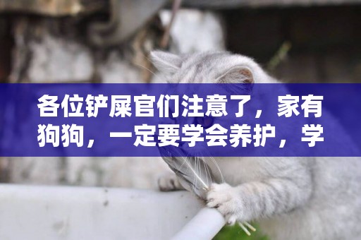 各位鏟屎官們注意了，家有狗狗，一定要學會養護，學會如何養狗，才能為你增添不少樂趣 