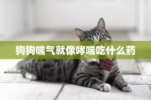 狗狗喘氣就像哮喘吃什么藥