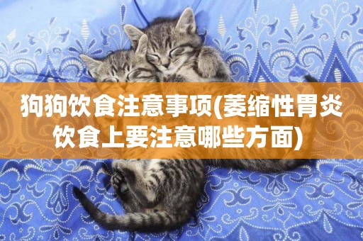 狗狗飲食注意事項(萎縮性胃炎飲食上要注意哪些方面) 
