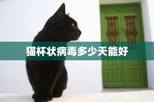 貓杯狀病毒多少天能好