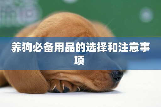 養狗必備用品的選擇和注意事項 