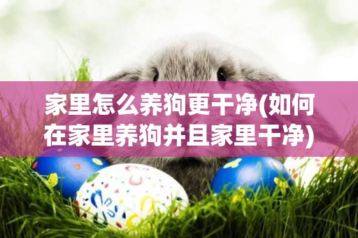 家里怎么養狗更干凈(如何在家里養狗并且家里干凈) 