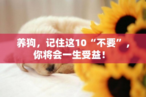 養狗，記住這10“不要”，你將會一生受益！ 