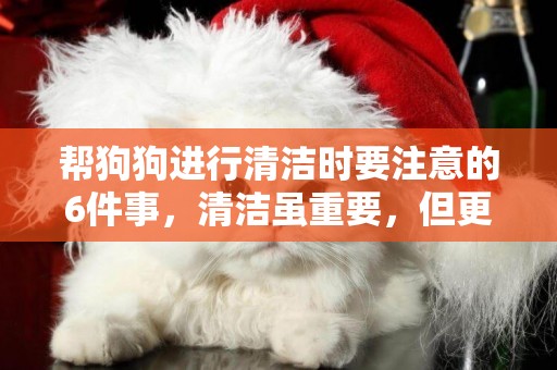 幫狗狗進行清潔時要注意的6件事，清潔雖重要，但更需要注重安全 
