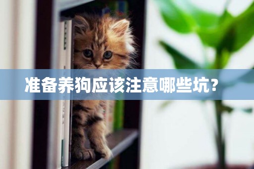 準備養狗應該注意哪些坑？ 