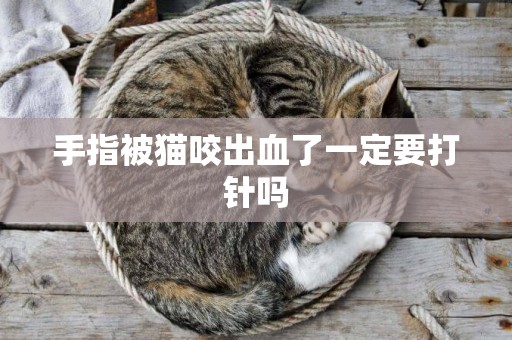 手指被貓咬出血了一定要打針嗎