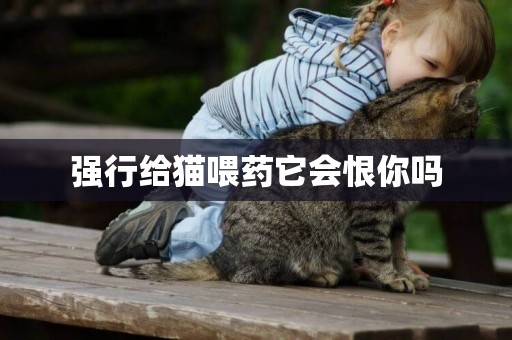 強行給貓喂藥它會恨你嗎