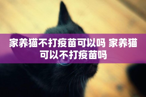 家養貓不打疫苗可以嗎 家養貓可以不打疫苗嗎