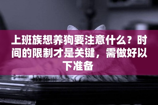 上班族想養狗要注意什么？時間的限制才是關鍵，需做好以下準備 