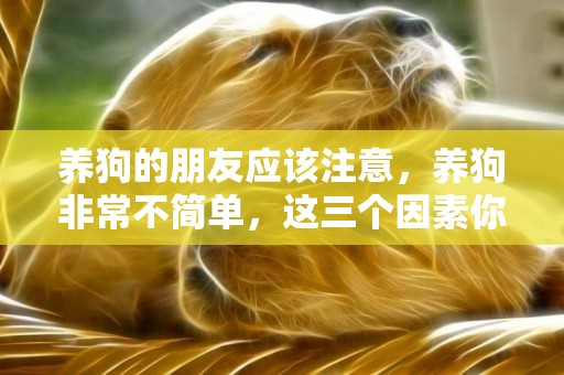 養狗的朋友應該注意，養狗非常不簡單，這三個因素你滿足了嗎？ 