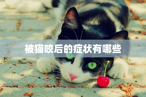 被貓咬后的癥狀有哪些
