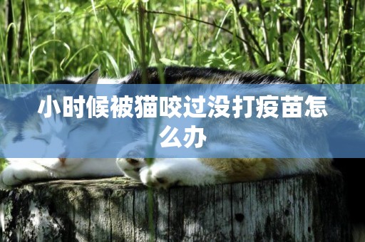 小時候被貓咬過沒打疫苗怎么辦