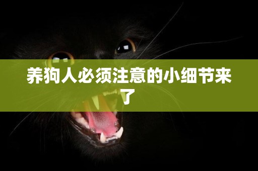 養狗人必須注意的小細節來了 
